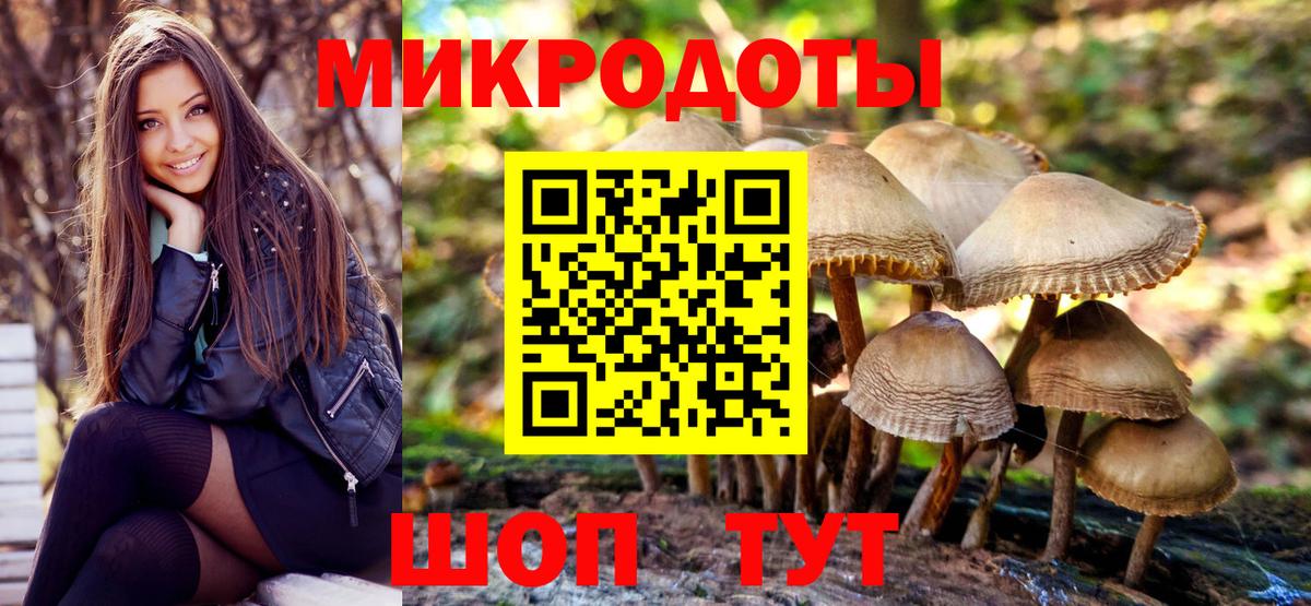 Спасск-Дальний  Галлюциногенные грибы Cubensis  закладка  Вход с VPN 